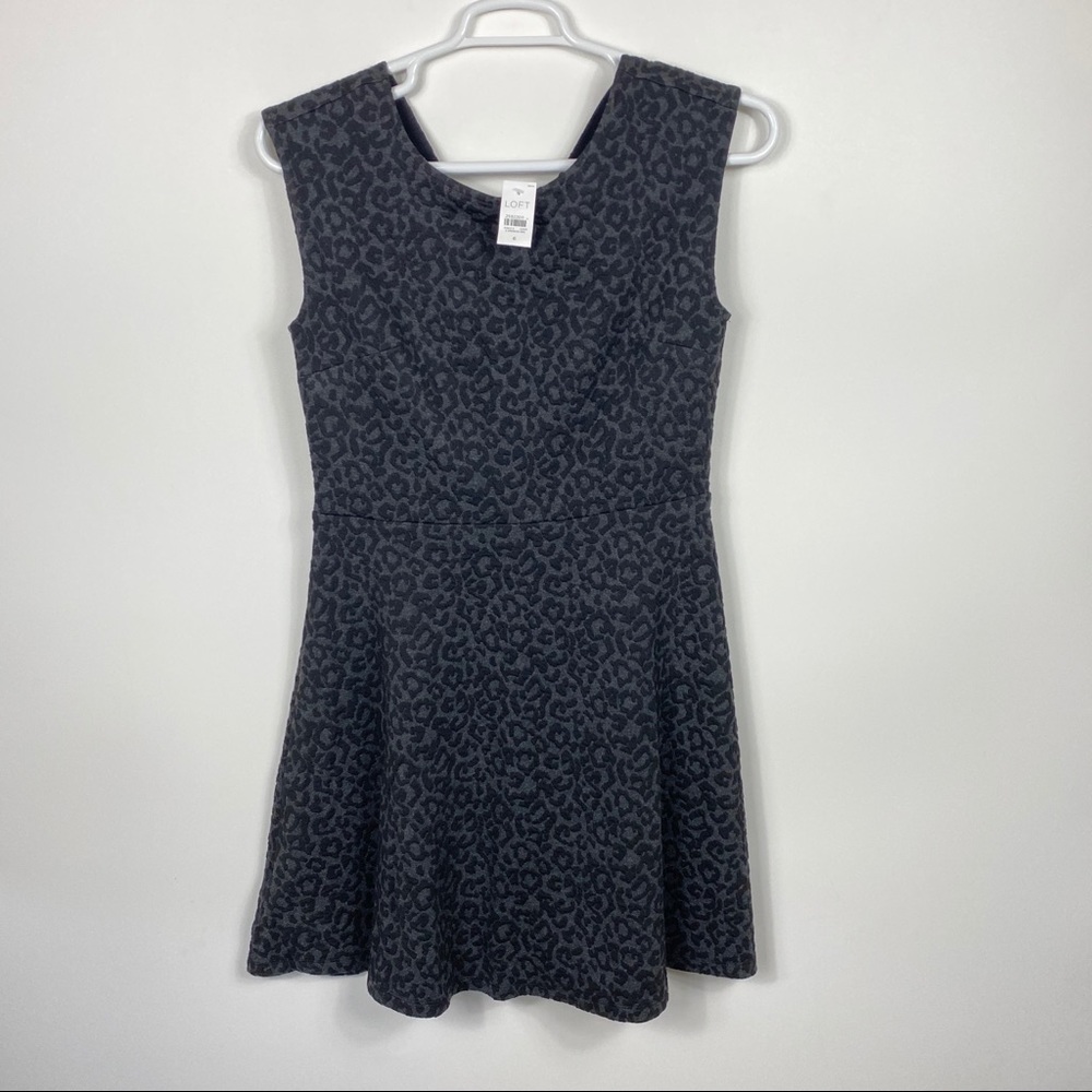 LOFT Dress Women Leopard Jacquard Flare Size 6